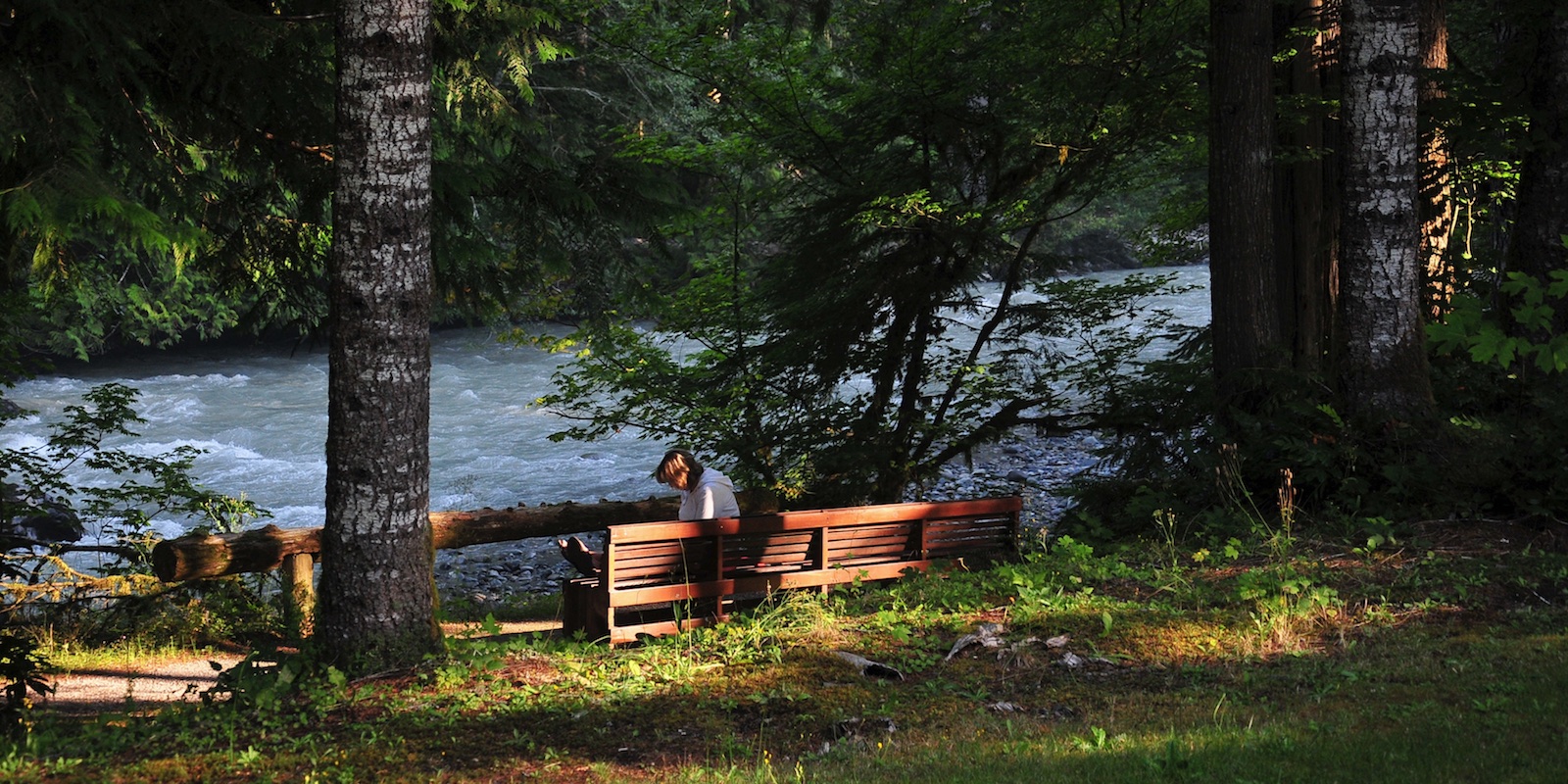 Peaceful bench alongside Northwest's Nooksack River